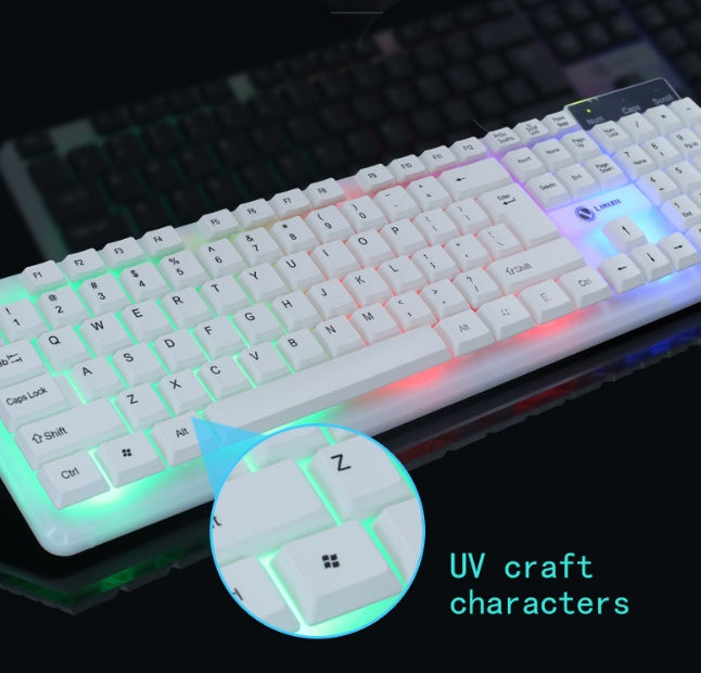 Clavier et Souris Filaire – Précision et Confort pour un Usage