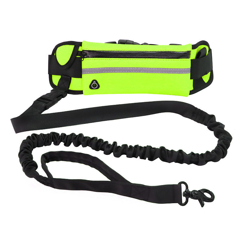 Laisse Mains Libres avec Ceinture – Confort & Contrôle pour Grandes Races