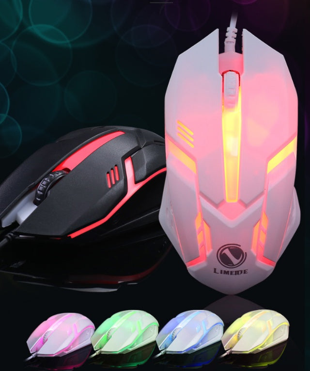 Clavier et Souris Filaire – Précision et Confort pour un Usage