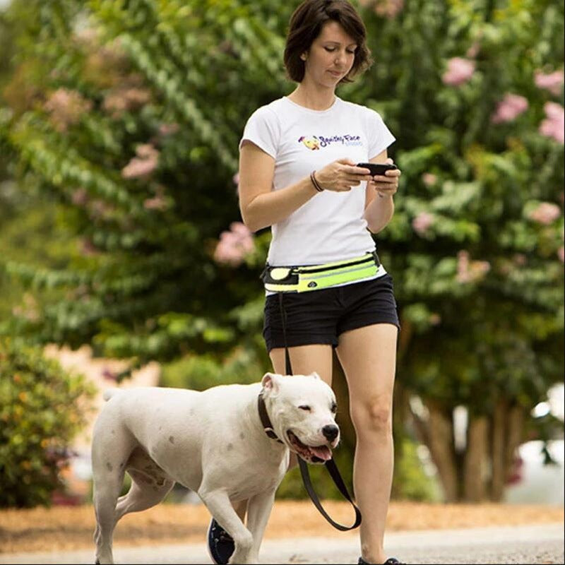 Laisse Mains Libres avec Ceinture – Confort & Contrôle pour Grandes Races