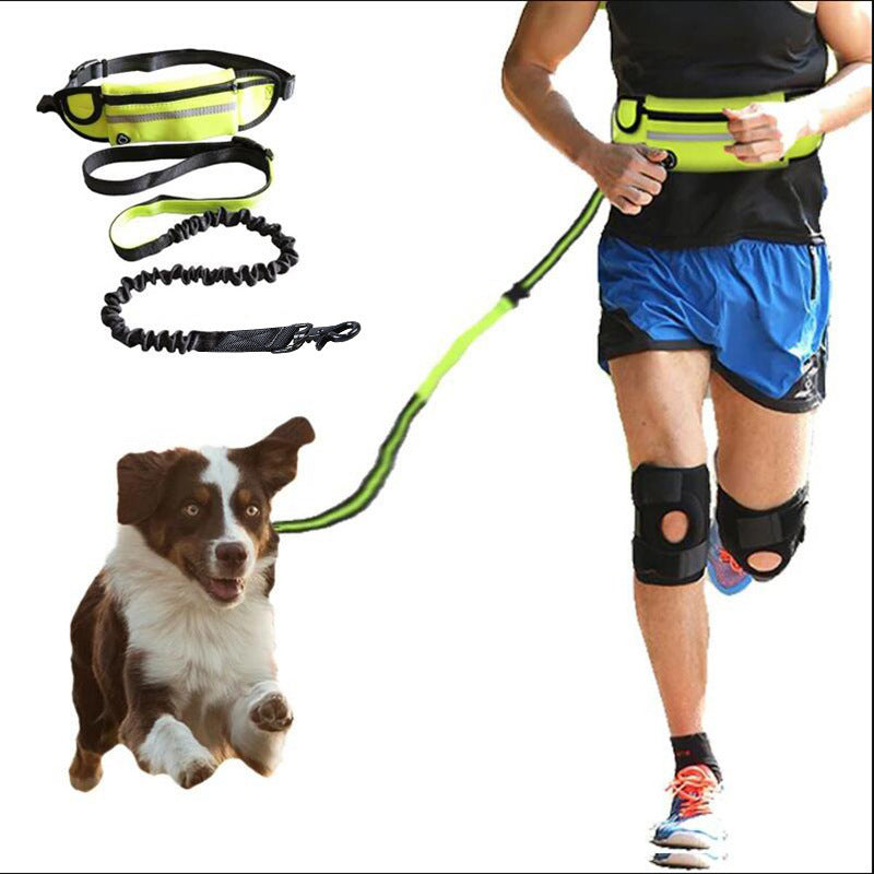 Laisse Mains Libres avec Ceinture – Confort & Contrôle pour Grandes Races