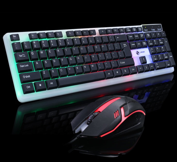 Clavier et Souris Filaire – Précision et Confort pour un Usage
