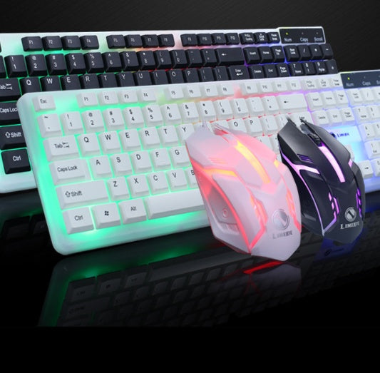 Clavier et Souris Filaire – Précision et Confort pour un Usage