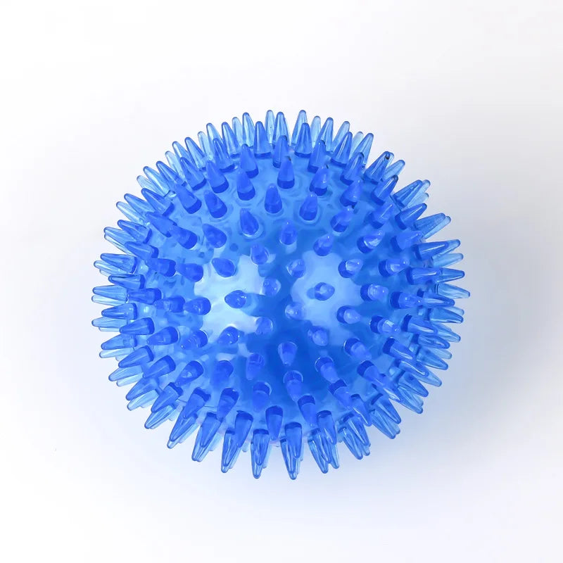 Squeaky Dog & Cat Toy - Spiked Ball with Squeaker