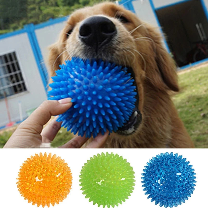 Squeaky Dog & Cat Toy - Spiked Ball with Squeaker