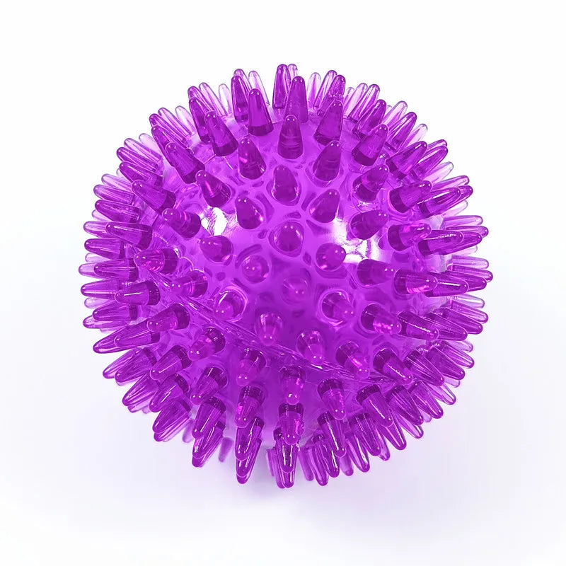 Squeaky Dog & Cat Toy - Spiked Ball with Squeaker