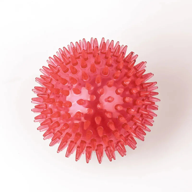 Squeaky Dog & Cat Toy - Spiked Ball with Squeaker