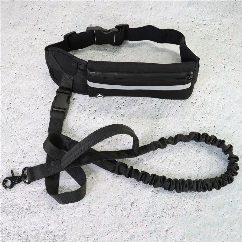 Laisse Mains Libres avec Ceinture – Confort & Contrôle pour Grandes Races