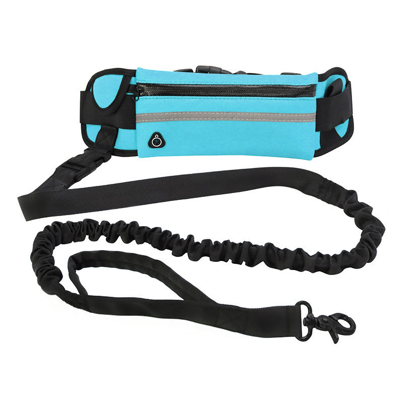 Laisse Mains Libres avec Ceinture – Confort & Contrôle pour Grandes Races