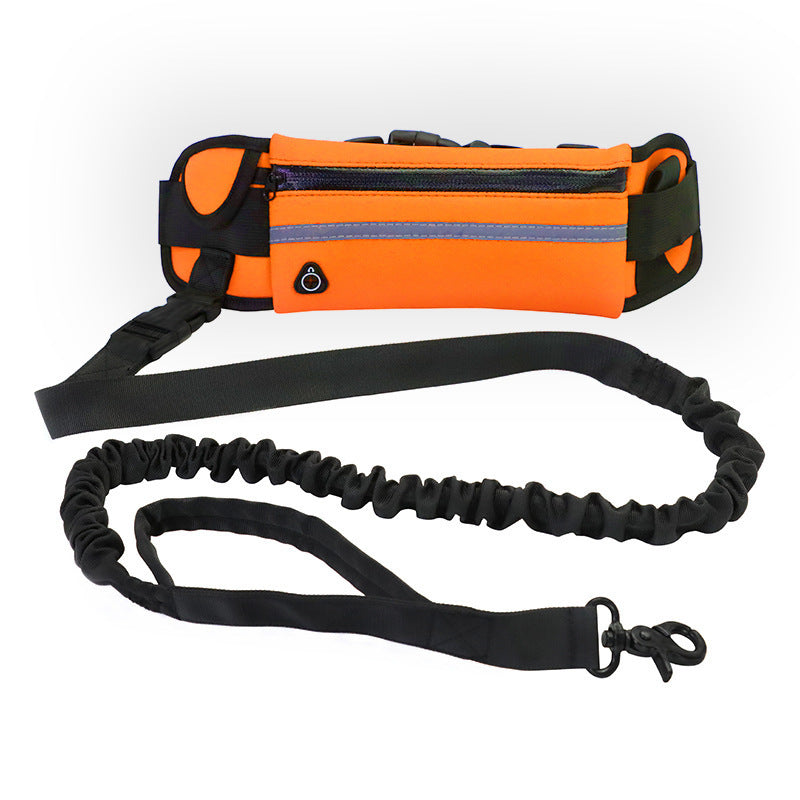 Laisse Mains Libres avec Ceinture – Confort & Contrôle pour Grandes Races