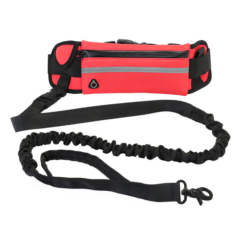 Laisse Mains Libres avec Ceinture – Confort & Contrôle pour Grandes Races