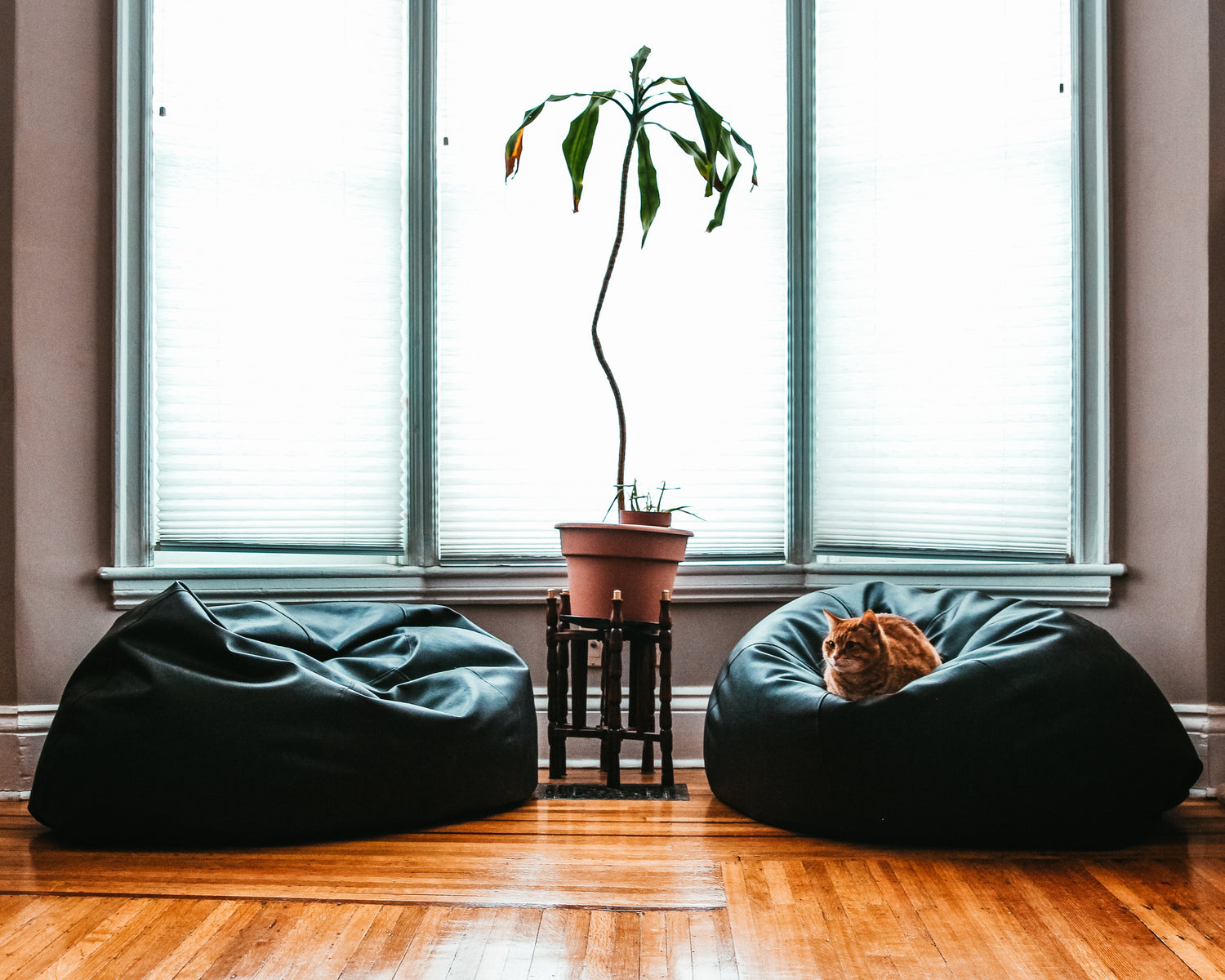 Votre Marketplace pour la Maison et la Décoration