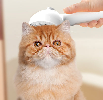 Brosse Auto-nettoyant avec Brumisateur – Toilettage
