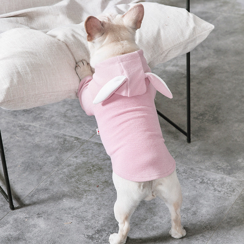 Vêtements pour Chien – Mode Printemps & Automne