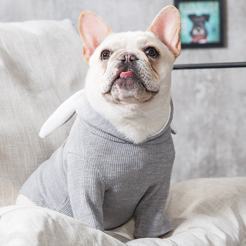 Vêtements pour Chien – Mode Printemps & Automne