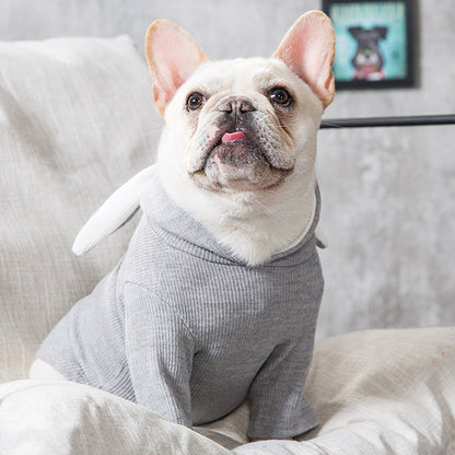 Vêtements pour Chien – Mode Printemps & Automne