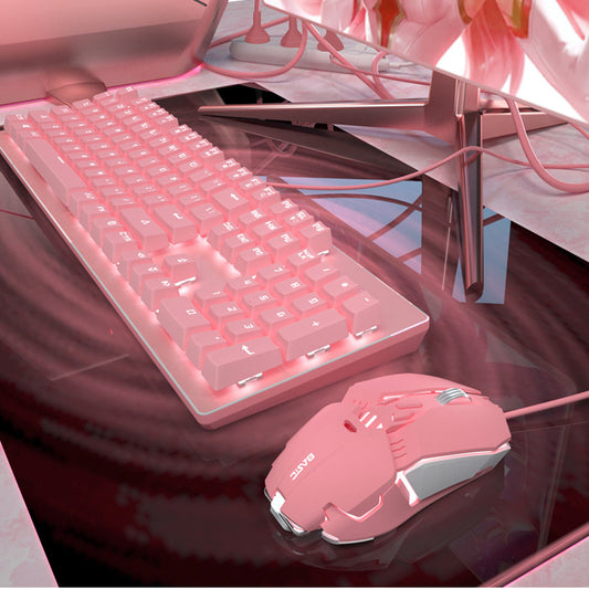 Ensemble Clavier & Souris Mécaniques Roses