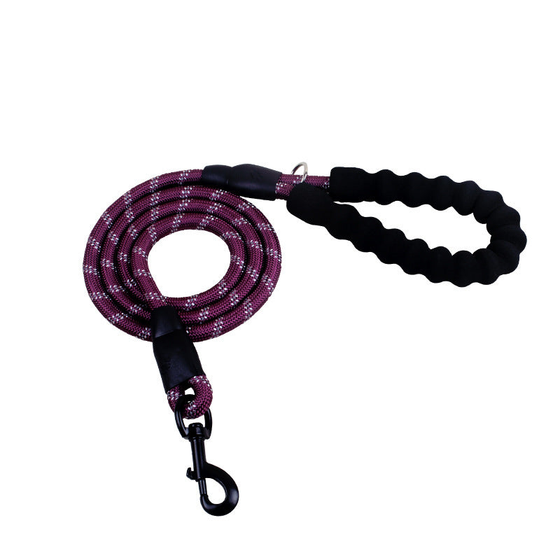 Laisse Réfléchissante en Nylon – Sécurité & Confort pour Chiens