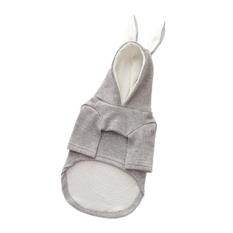 Vêtements pour Chien – Mode Printemps & Automne