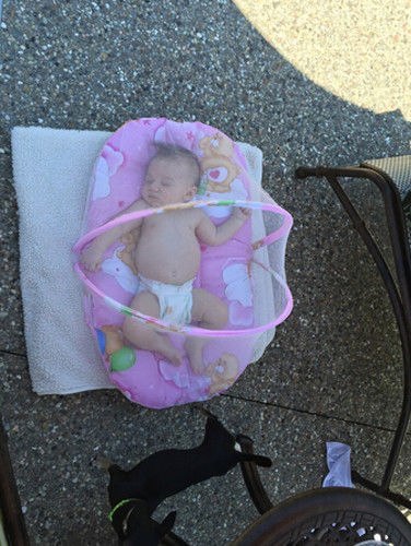 Lit Bébé Pliable avec Moustiquaire