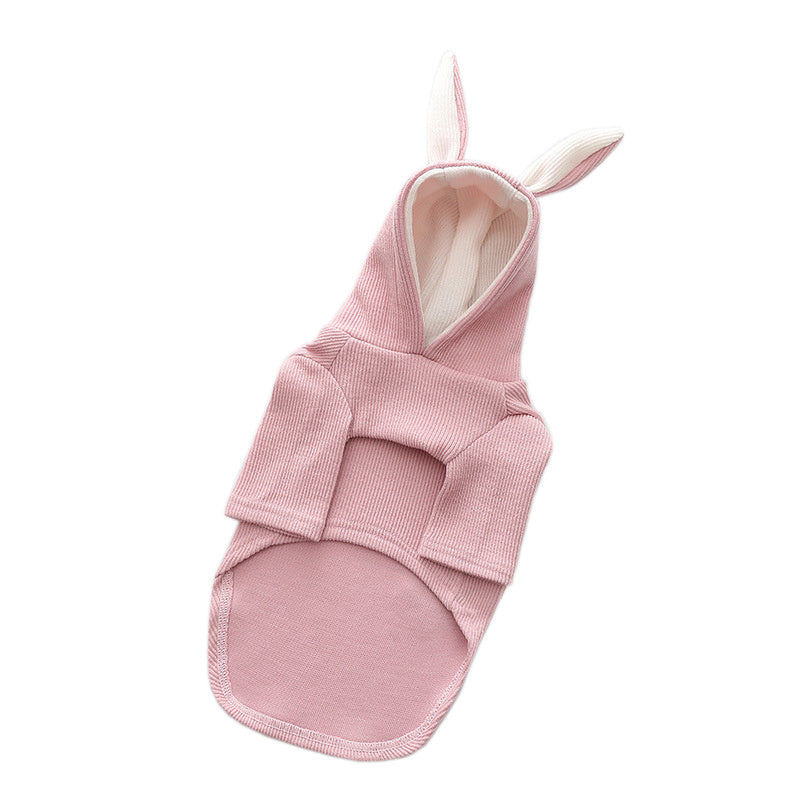 Vêtements pour Chien – Mode Printemps & Automne