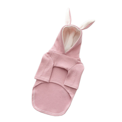 Vêtements pour Chien – Mode Printemps & Automne