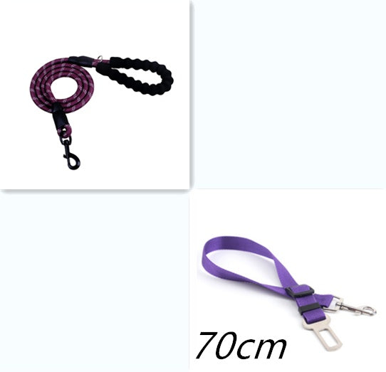 Laisse Réfléchissante en Nylon – Sécurité & Confort pour Chiens