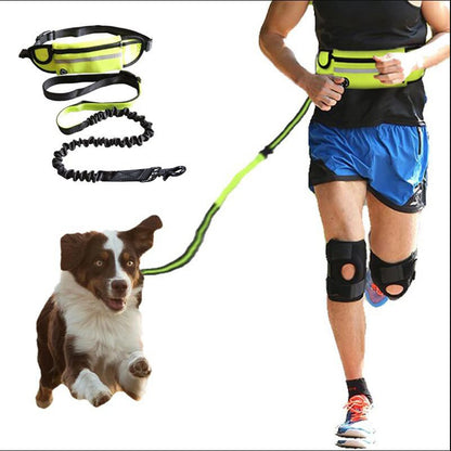 Laisse Mains Libres avec Ceinture – Confort & Contrôle pour Grandes Races