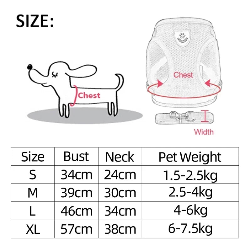 Harnais Ajustable pour Petits Chiens & Chats – Avec Laisse Incluse