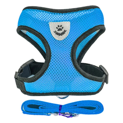 Harnais Ajustable pour Petits Chiens & Chats – Avec Laisse Incluse