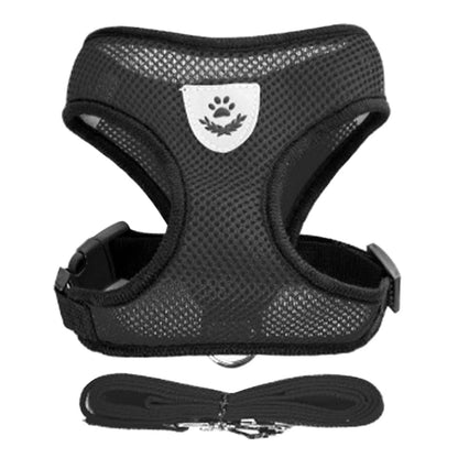 Harnais Ajustable pour Petits Chiens & Chats – Avec Laisse Incluse