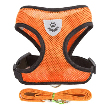 Harnais Ajustable pour Petits Chiens & Chats – Avec Laisse Incluse