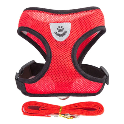 Harnais Ajustable pour Petits Chiens & Chats – Avec Laisse Incluse