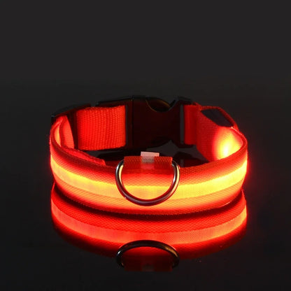 Collier Lumineux LED pour Chien – Sécurité et Visibilité de Nuit