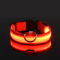 Collier Lumineux LED pour Chien – Sécurité et Visibilité de Nuit