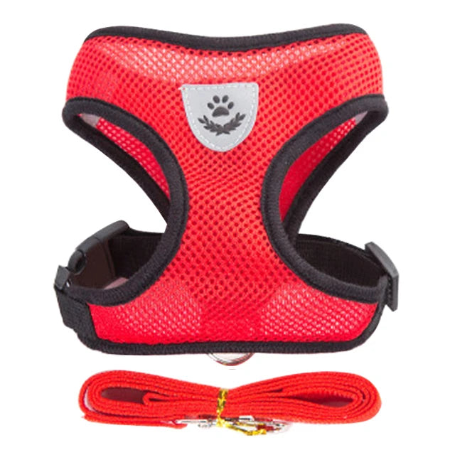Harnais Ajustable pour Petits Chiens & Chats – Avec Laisse Incluse
