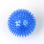 Squeaky Dog &amp; Cat Toy - Spiked Ball with Squeaker