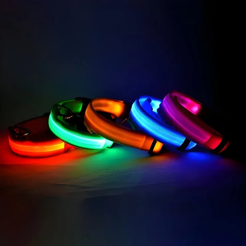 Collier Lumineux LED pour Chien – Sécurité et Visibilité de Nuit