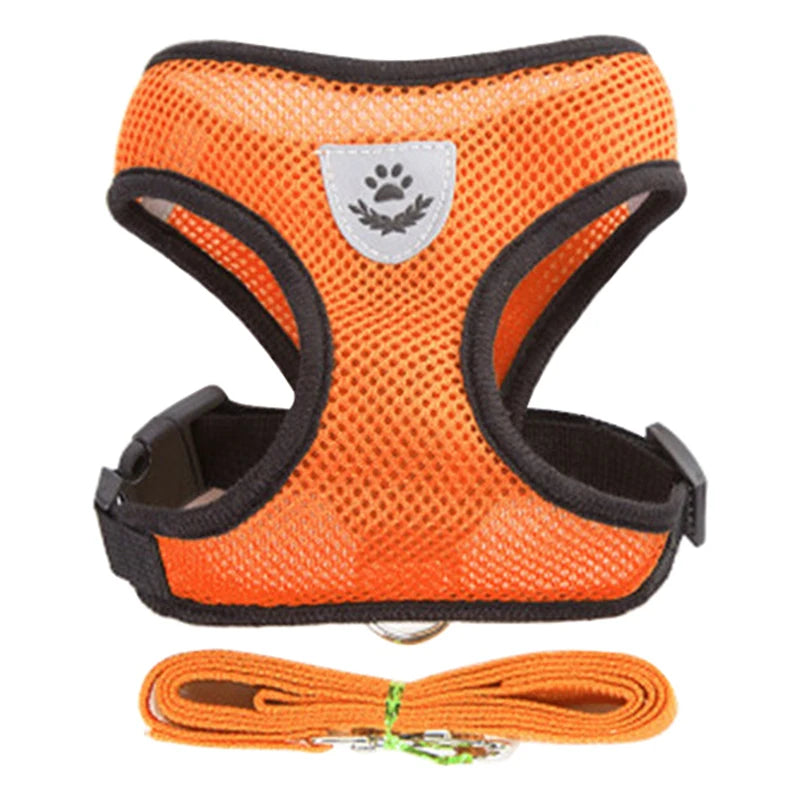 Harnais Ajustable pour Petits Chiens & Chats – Avec Laisse Incluse