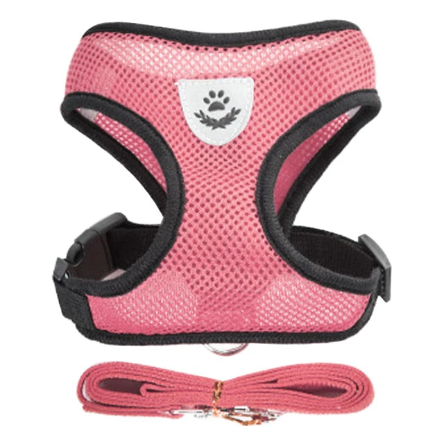 Harnais Ajustable pour Petits Chiens & Chats – Avec Laisse Incluse
