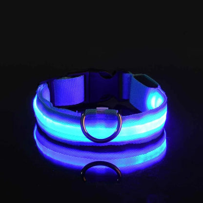 Collier Lumineux LED pour Chien – Sécurité et Visibilité de Nuit