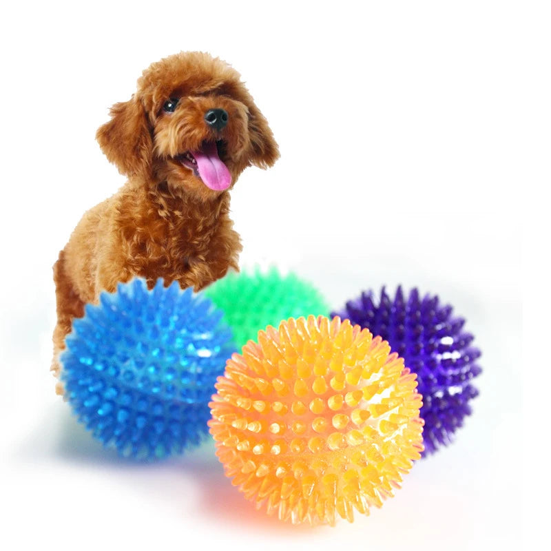 Squeaky Dog &amp; Cat Toy - Spiked Ball with Squeaker