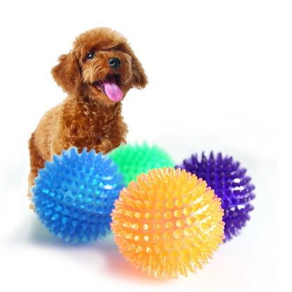 Squeaky Dog &amp; Cat Toy - Spiked Ball with Squeaker