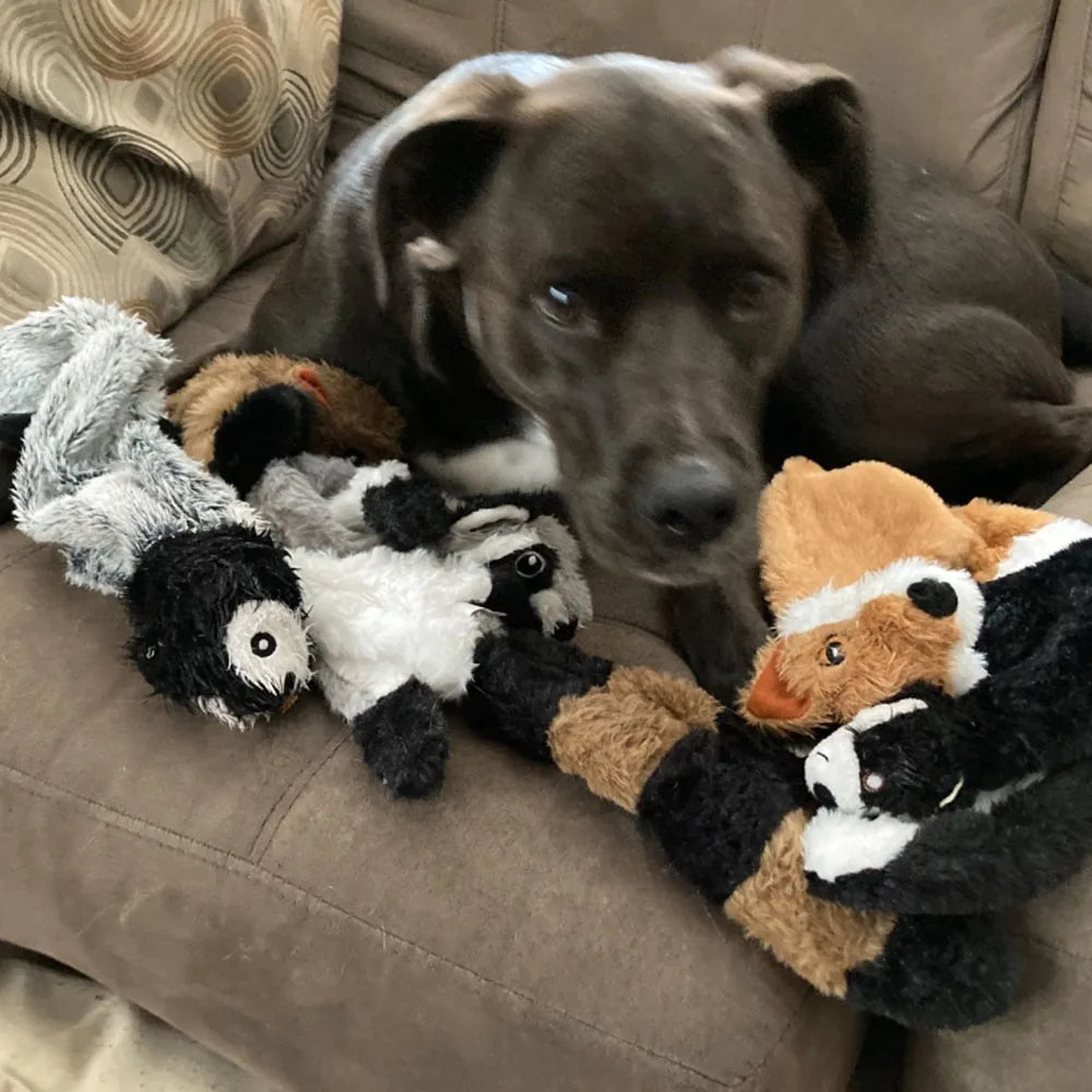 Fun Dog Toy - No Filling Plush with Squeaker