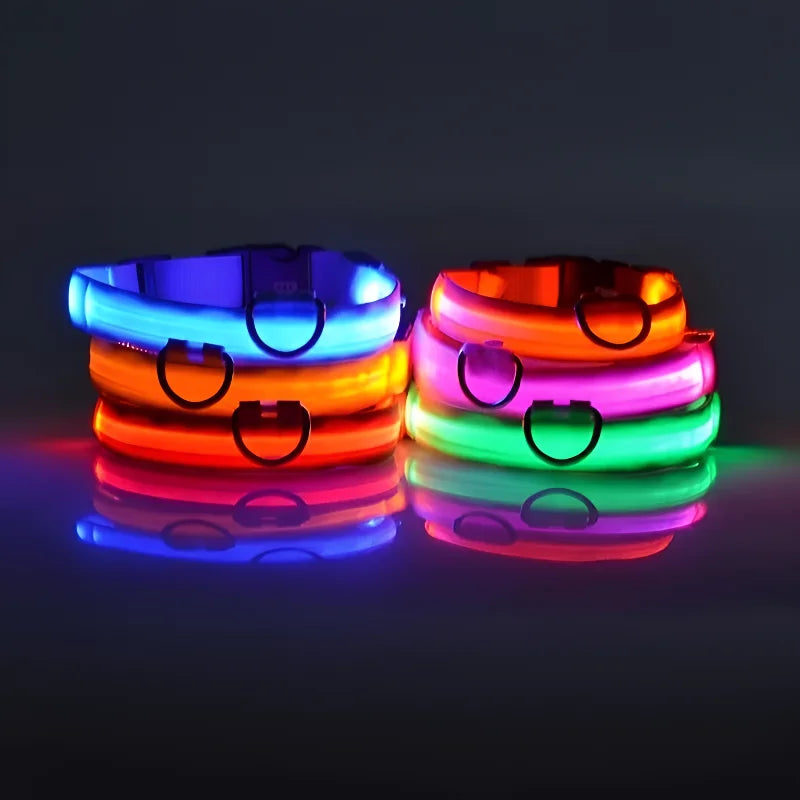 Collier Lumineux LED pour Chien – Sécurité et Visibilité de Nuit