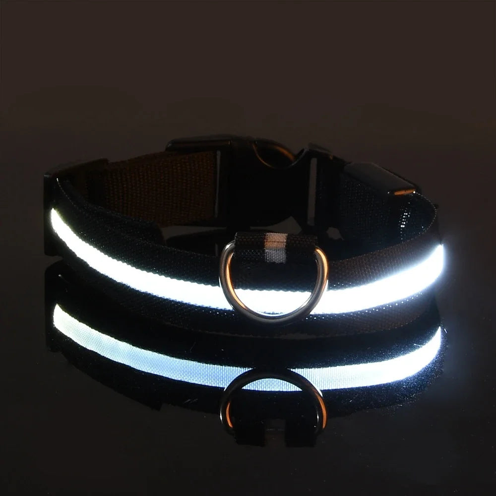 Collier Lumineux LED pour Chien – Sécurité et Visibilité de Nuit