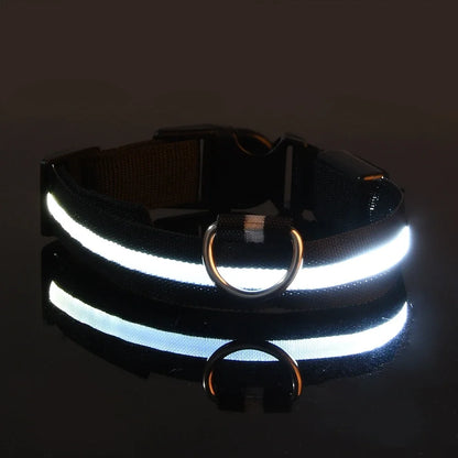Collier Lumineux LED pour Chien – Sécurité et Visibilité de Nuit