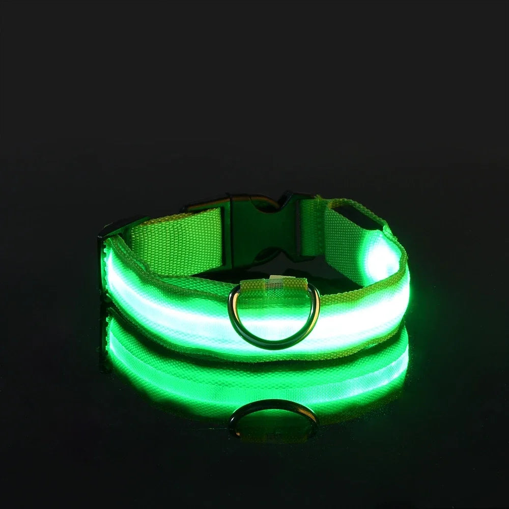 Collier Lumineux LED pour Chien – Sécurité et Visibilité de Nuit