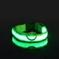Collier Lumineux LED pour Chien – Sécurité et Visibilité de Nuit