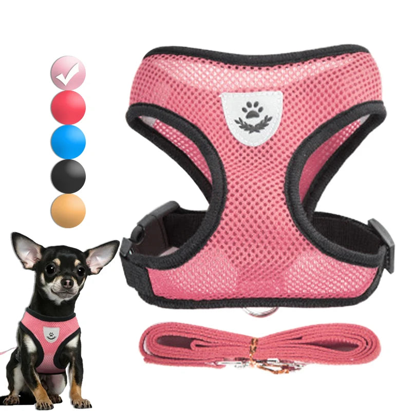 Harnais Ajustable pour Petits Chiens & Chats – Avec Laisse Incluse